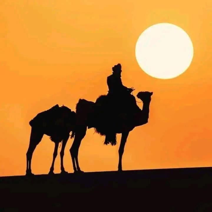 فندق Restcamp Ergchebbi مرزوكة المظهر الخارجي الصورة